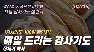 (따라하는 기도시리즈) 감사15 매일 아침 드리는 감사기도  / 장재기 목사 / 참여하실 분은 댓글란에 매일 3개씩 감사기도 남기기 [감사기도 100일 챌린지]