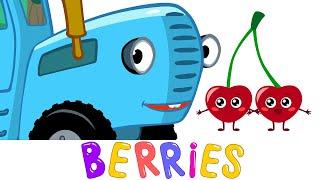 Berries Song - The Blue Tractor - Kids Songs & Cartoons