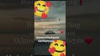 Uqiy olamizmi #love #rek #vidyolar #rekda #obuna #azob #rekkkkkk #sad