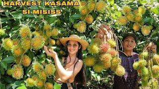 DASIK ANG BUNGA  NG RAMBUTAN PAMIMITAS KASAMA SI MISISS