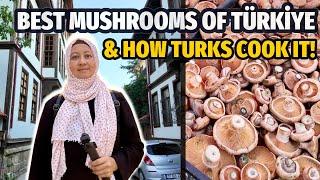 BEST MUSHROOMS  OF TÜRKİYE &  VEGAN GOZLEME / Mushroom Eggs