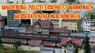 ️Tödlicher Einsatz nahe Magdeburg: Polizei erschießt Mann nach Messer-Attacke  WHY？Magdeburg Again