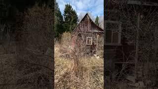 Продается каркасная дача на участке 4.4 сотки в СНТ "Родник-1"  д. Арсаки, Александровский район