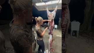 Learning how to CLEAN a Deer