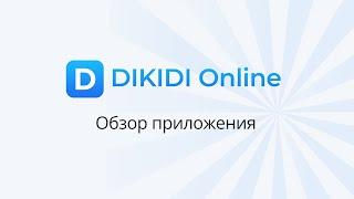 DIKIDI Online - обзор приложения