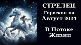 СТРЕЛЕЦ - Август 2024 В Потоке Жизни - Активность┃#гороскоп #стрелец #август #2024 #топ #удача