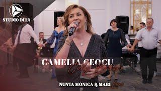 Camelia Ceocu  Colaj Brauri LIVE  Nunta Monica & Mari