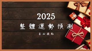 理科塔羅。即將到來的2025：整體運勢預測。【誠實豆沙包Alert!!】