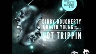 Dibby Dougherty & David Young - Not Trippin feat. Polarsets (Eelke Kleijn vocal mix)