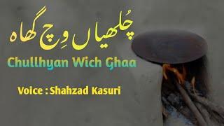 Chulhyan Wich Ghaa | Punjabi Shayari | Shahzad Kasuri