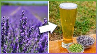 Using HERBS in Beer changed the way I brew [+Cream Ale Recipe]