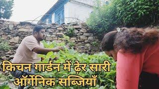 किचन गार्डन में ढ़ेर सारी ऑर्गेनिक सब्जियाँ || simple Village Life ll #nigrali #nainital #vlog