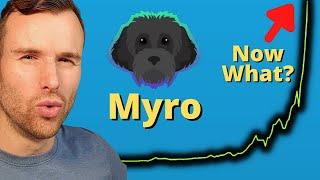 How long can the Myro token rise?  Solana Memecoin Analysis