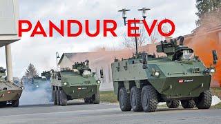 Exploring the Austrian Pandur EVO: Modern Military Mobility