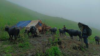 Best Rural Shepherd Compilation Video into Nepali Himalayan Village||Most Relaxing Village Life||