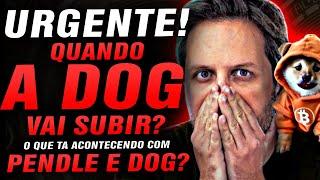  URGENTE! O QUE ESTÁ ACONTECENDO COM A CRIPTOMOEDA DOG GO TO THE MOON QUANDO DOG VAI SUBIR? BACKES