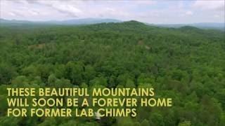 Eye in the Sky - Take a tour of Project Chimps from Above