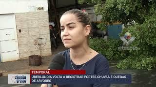 UBERLÂNDIA VOLTA A REGISTRAR FORTES CHUVAS E QUEDAS DE ÁRVORES