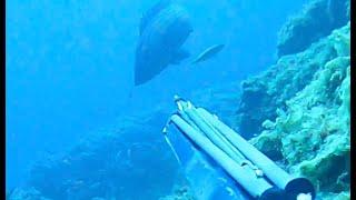 The day with the XL golden grouper | Cyclades Spearfishing