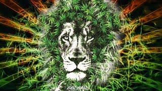 Reggae Mix 2021  Reggae Music & Reggae Tunes