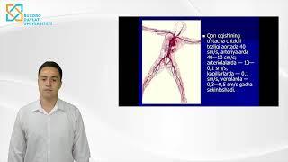 Rahmonov Nurali Raxim òğli , Yurak – qon tomirlar sistemasi