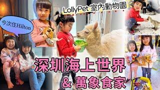 深圳海上世界｜Hilton Shenzhen Shekou Nanhai 開箱｜萬象食家 ｜Lollypet ￼室內動物園｜ 北上親子旅遊 ｜北上消費