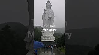 Tsz Shan Monastery #tsz #buddhasflute #buddha #buddhism