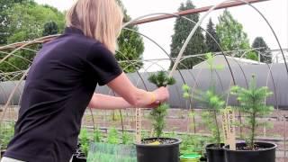 North Willamette Research and Extension Center Open House 2012