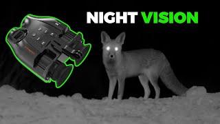 Budget Night Vision Binoculars - Are They Worth It?