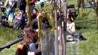 The Hanami Festival in Roihuvuori 2012 at the Japanese Cherry Tree Garden