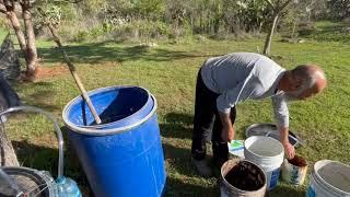 Tutorial: Biofertilizante con estiércol de vaca