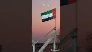 Dubai Trip 2024 #dubai #desert #desertsafari #dubaivlog #dubaicity #dubailife #reels