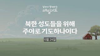 [매일기도] 6월  24일 화요일 | 북한 성도들을 위해 주야로 기도하나이다