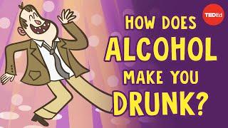 How does alcohol make you drunk? - Judy Grisel