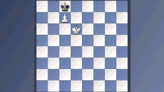 Wir lernen Schach 6 - einfache Bauernendspiele 1