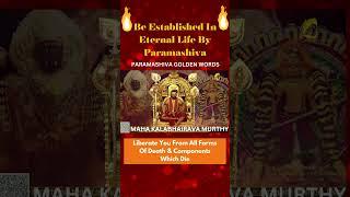 Be Established In Eternal Life By Paramashiva #Nithyananda #Liberation #shorts