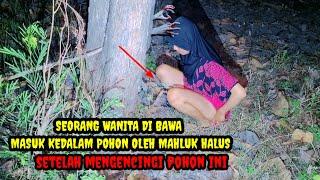  SEORANG WANITA TERJEBAK DI DALAM POHON USAI KENCINGI POHON BERCABANG⁉️