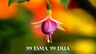 99 ESMA 99 DUA |  Kuran Terapi Şifa Noktası | Allah'ın 99 İsmi