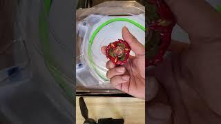 One Minute Bey Battle: Soar Phoenix 9-60GF vs Crimson Garuda 4-70TP 2! #beybladex #beyblade