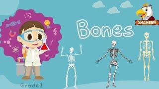 BONES | SCIENCE | GRADE 1| SHAHEEN DIGIKIDS