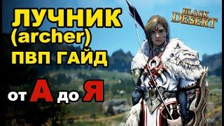 Лучник (archer) - ПВП гайд (PVP guide) в Black Desert (MMORPG-ИГРЫ)