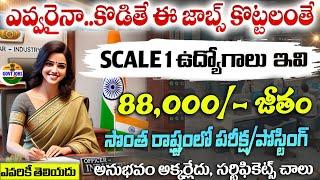 ఈ నోటిఫికేషన్ లైఫ్ లో మల్లి రాదు |  Salary: 88,000/- | Latest jobs in telugu | PNB | Govt Job Search