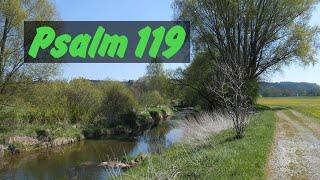 Psalm 119