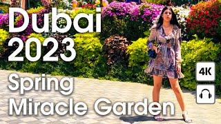 Dubai  Spring Miracle Garden [ 4K ] Walking Tour