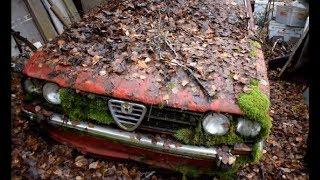 Abandoned Cars Discovered in Forest