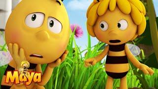 Willy Is Accused of Stealing - Maya the bee