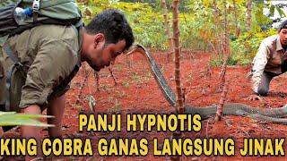 Panji Hipnotis King cobra ganas penunggu kebun