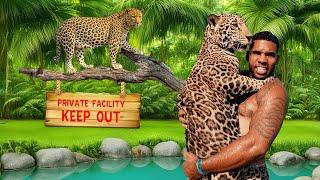 Private Tour of the Rarest Rescue Big Cats in India