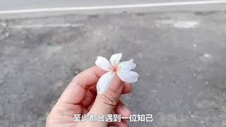 【心靈理財作家劉依沛VLOG】劉依沛新書：做自己，成為內心渴望成為的那個人