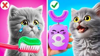 CATHACKS  Satisfying Gadgets and Crafts For Cats By Meow-some! Live